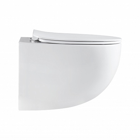 Подвесной унитаз безободковый Terminus Енисей Monolit 560х390 белый Ступино - фото 4 Подвесной унитаз безободковый Terminus Енисей Monolit 560х390 белый Ступино - фото 4