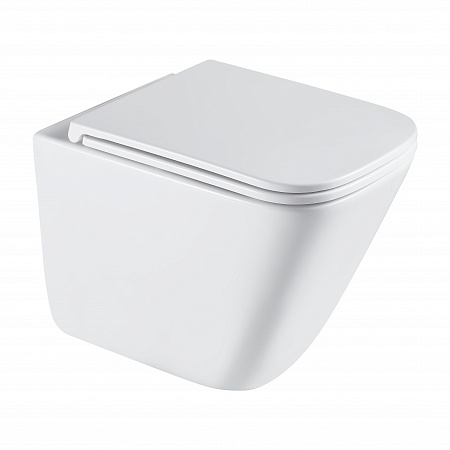 Подвесной унитаз безободковый Terminus Ватикан Monolit 490х340 белый Ступино - фото 2 Подвесной унитаз безободковый Terminus Ватикан Monolit 490х340 белый Ступино - фото 2