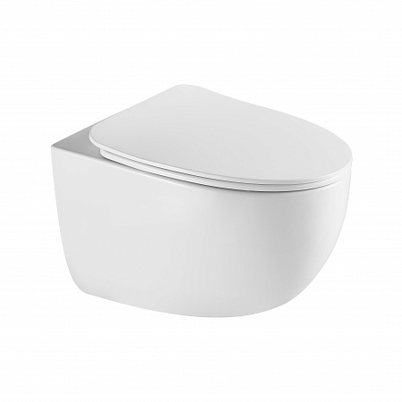 Подвесной унитаз безободковый Terminus Енисей Monolit 560х390 белый Ступино - фото 2 Подвесной унитаз безободковый Terminus Енисей Monolit 560х390 белый Ступино - фото 2